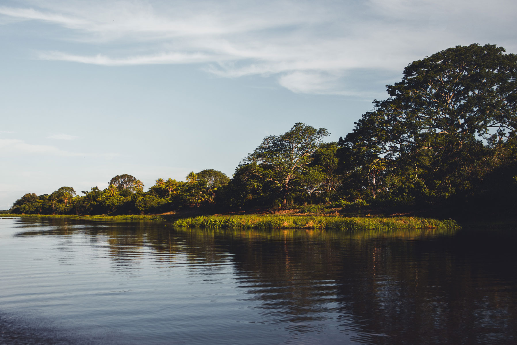 pantanal_pura_vida